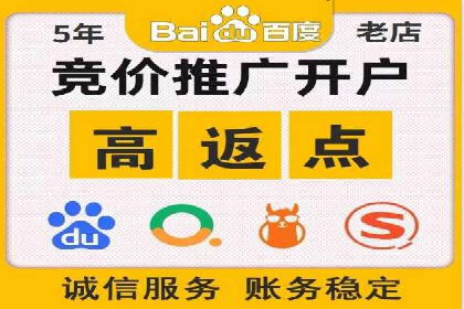 成功运用SEM服务实现品牌快速成长的案例